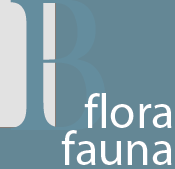 Flora and Founa
